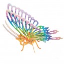 Motyl - kolorowe puzzle 3D