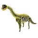 Brachiosaurus - kolorowe puzzle 3D